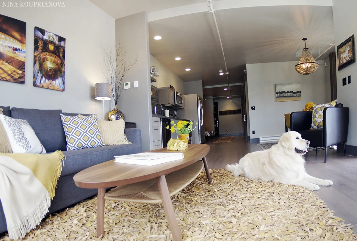unit D living room 1 1200 nk.jpg