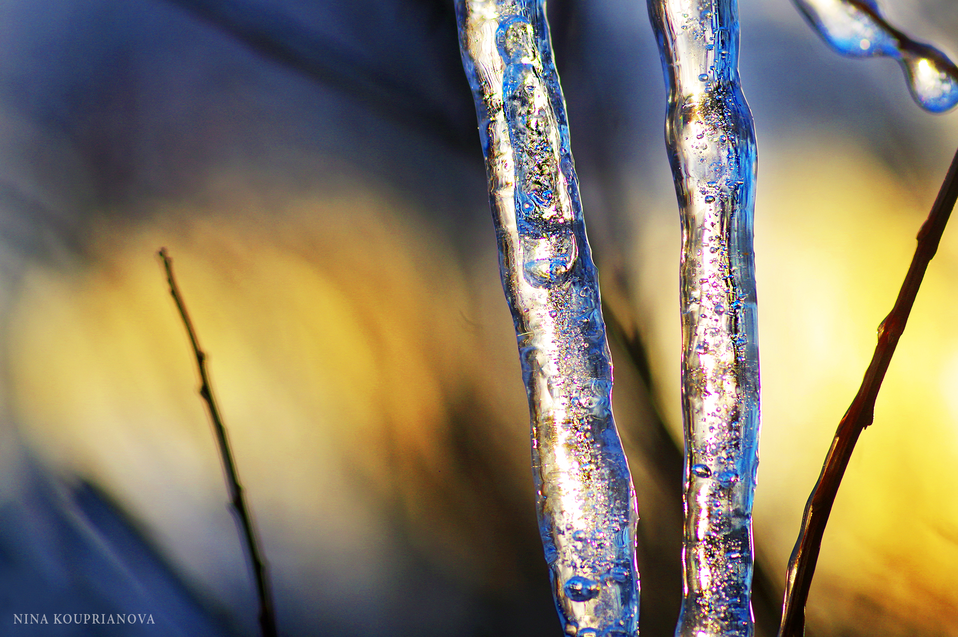 ice golden hour 3 1500px.jpg