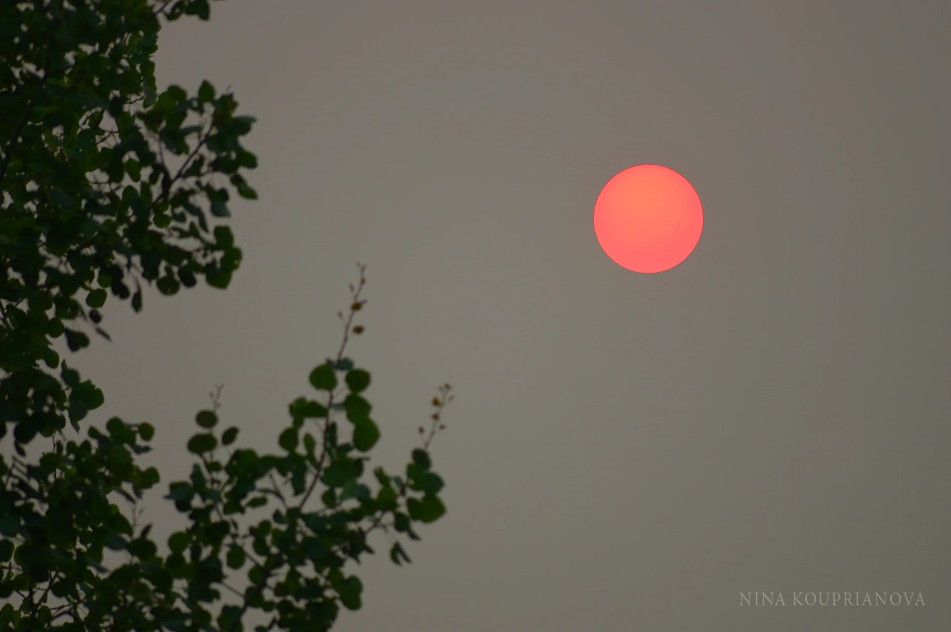 sun forest fires 2017 2000 px.jpg