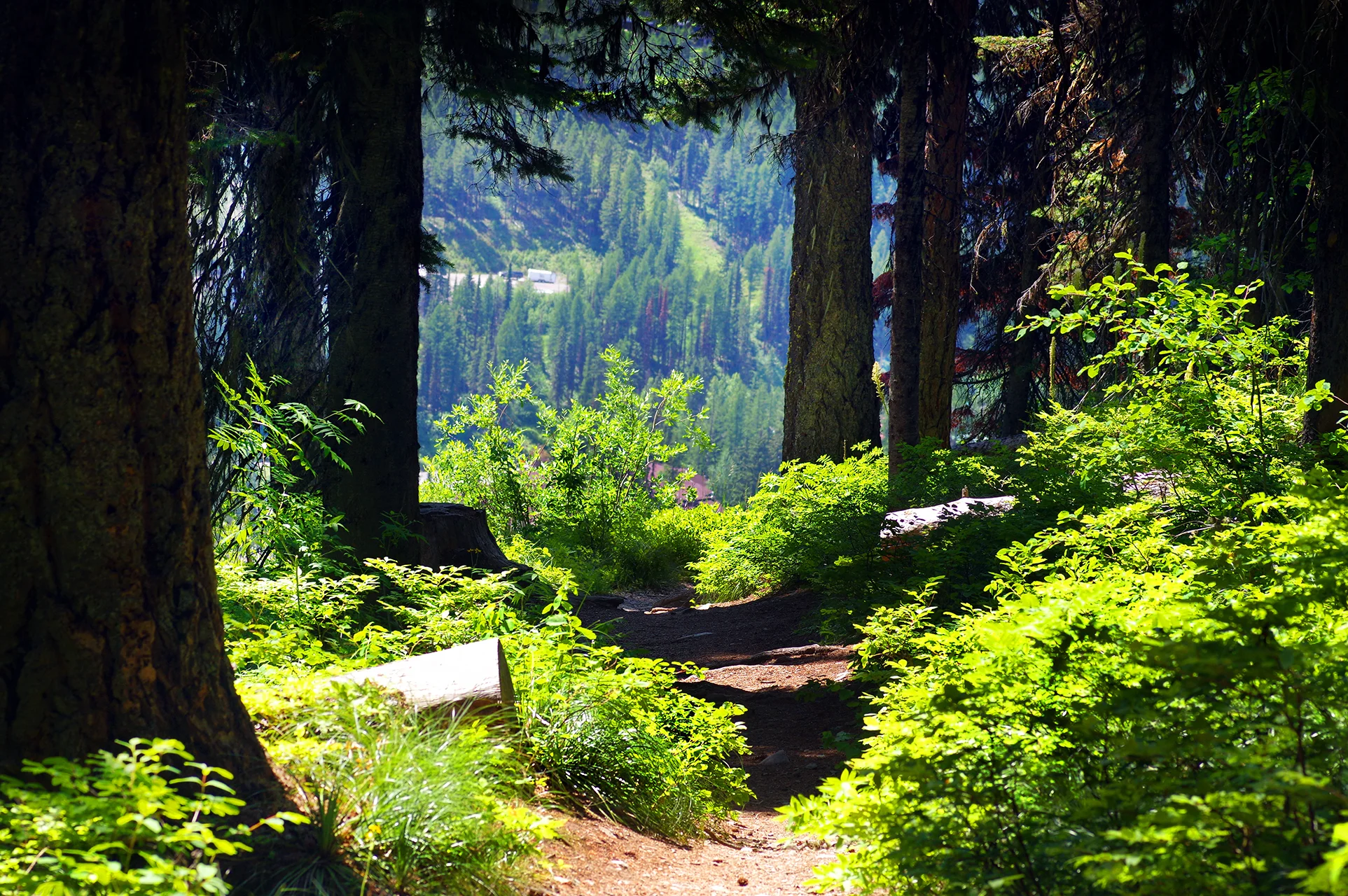 mountain window 2019 2000 px.jpg