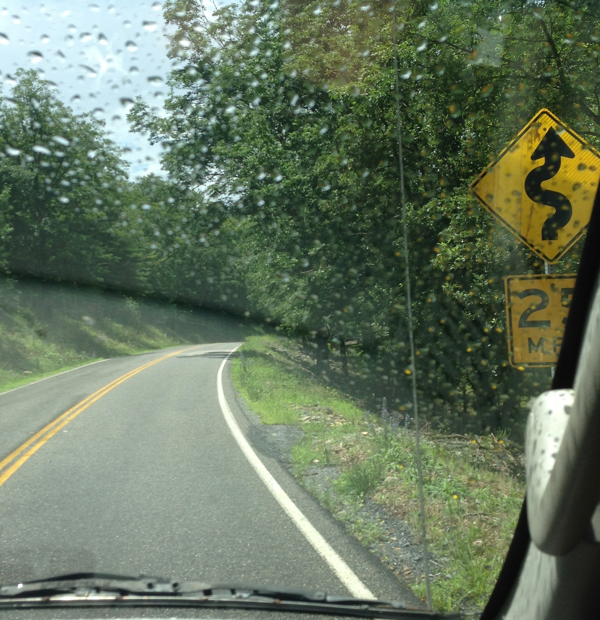 Lots of 25 MPH curves. Our van, "boss", earned her keep that day! 