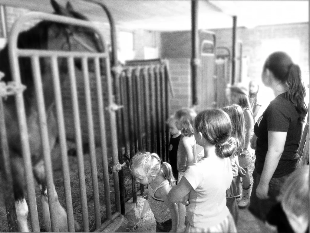 Fireworks & Hayrides in West Virginia