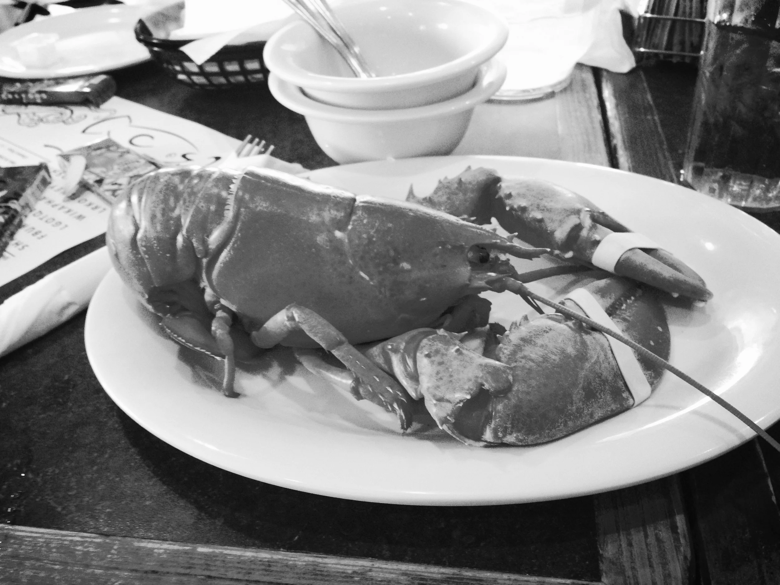 New Foods in New England