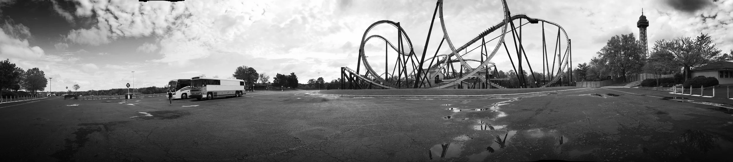 The year of the Rollercoaster