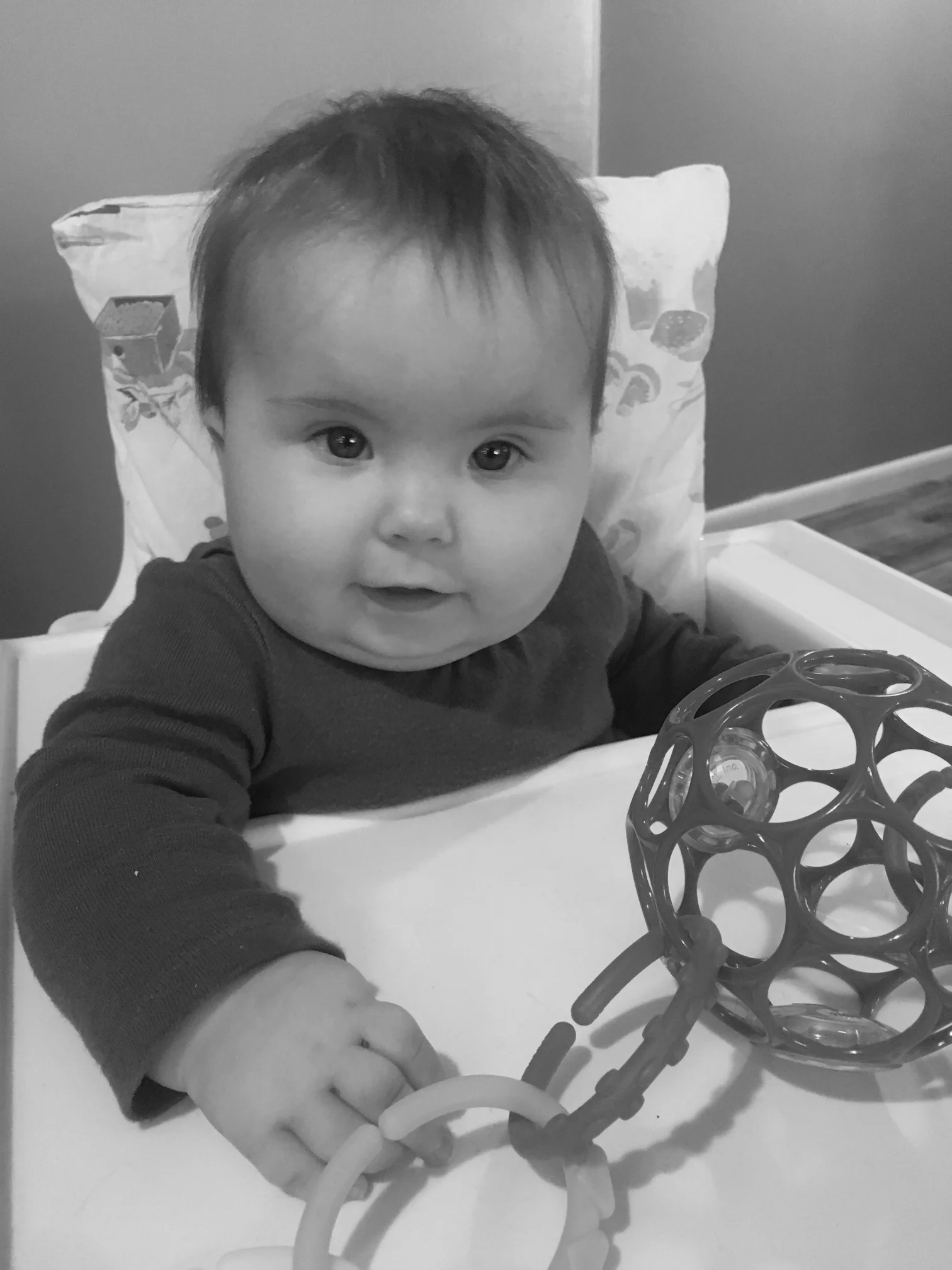 Fidelity's 6 month Update