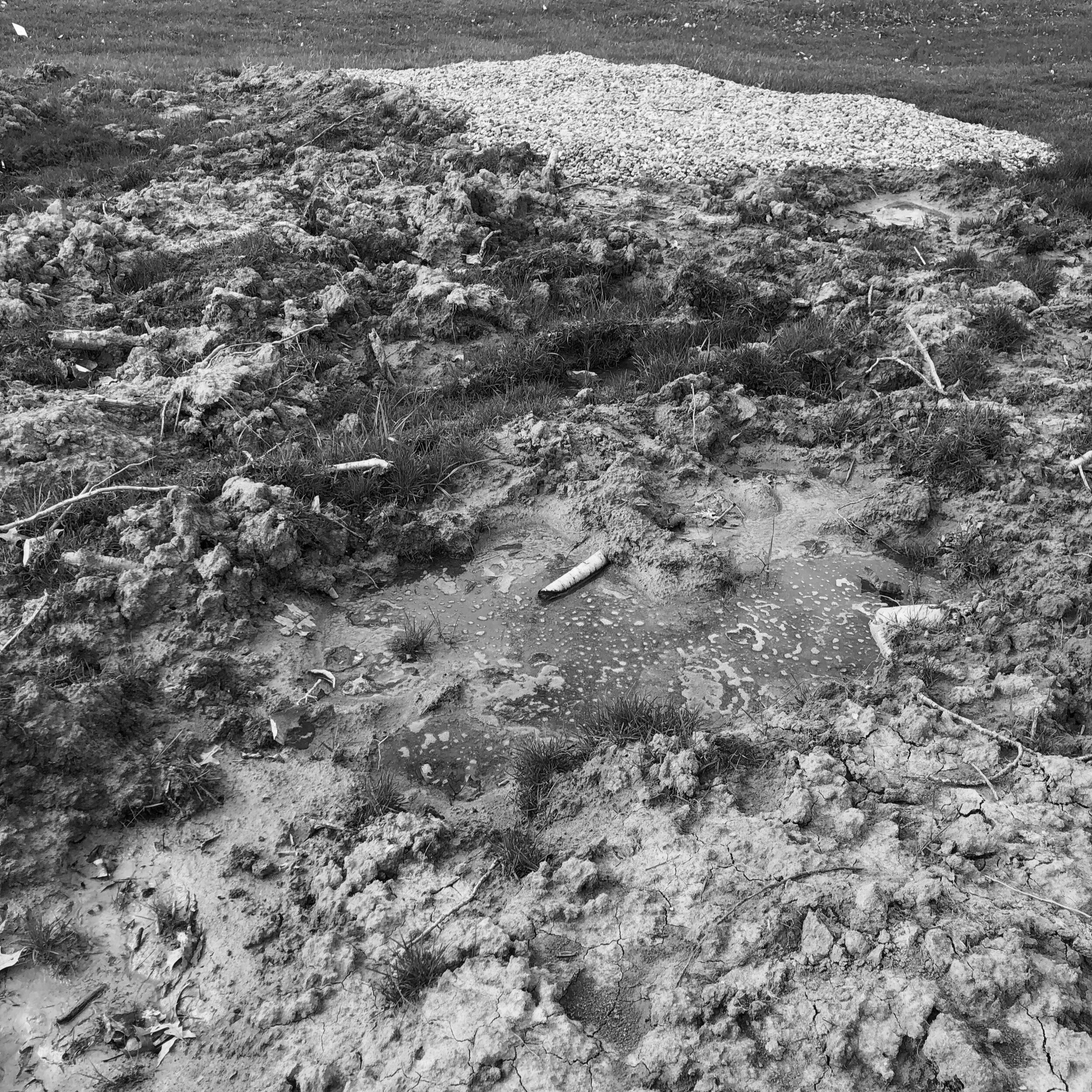 Studio A project - Tangent - SEPTIC