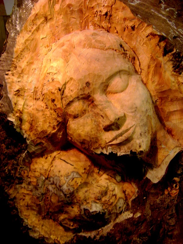 Carving into a Yew tree