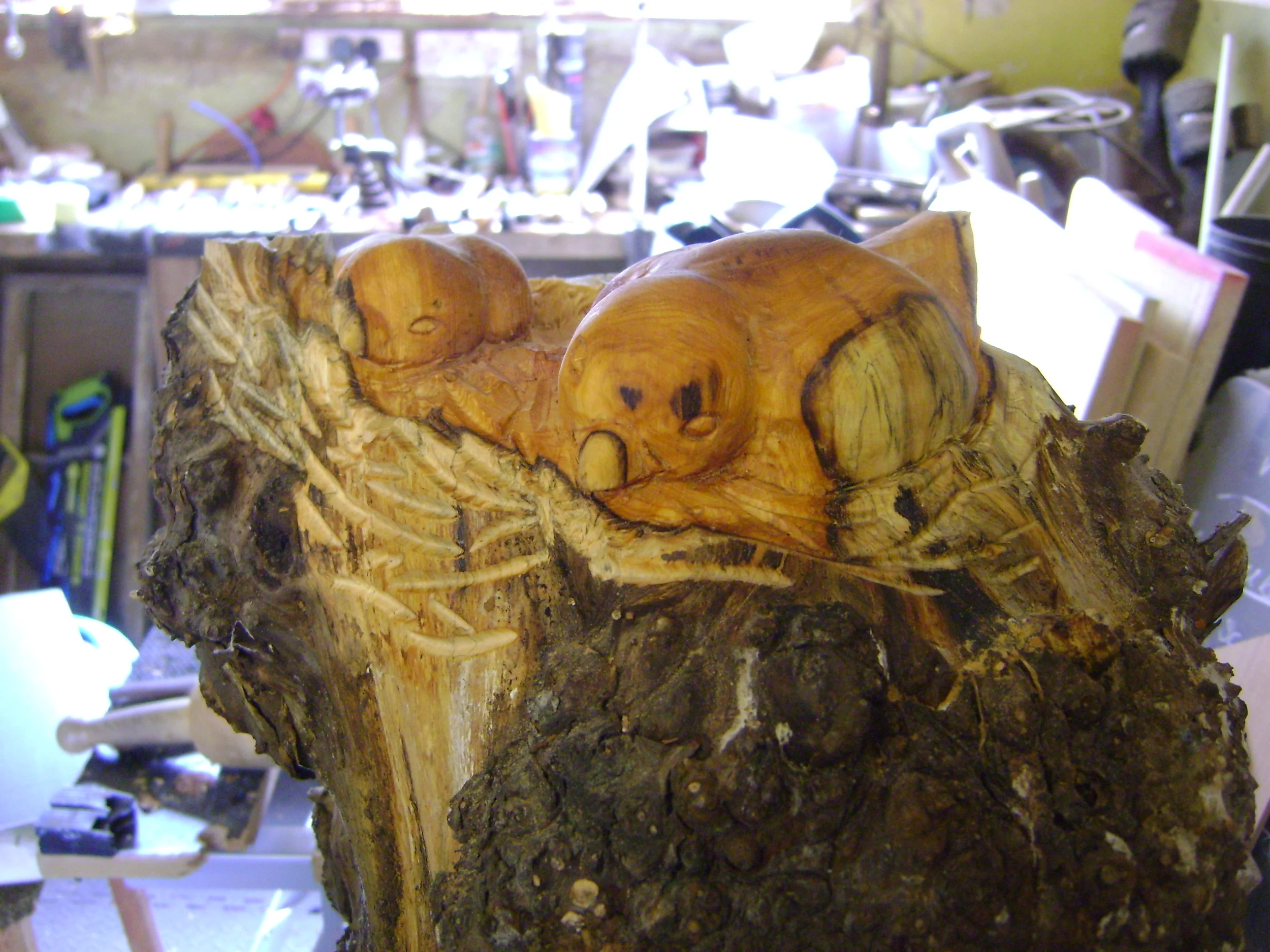 Birds in nest