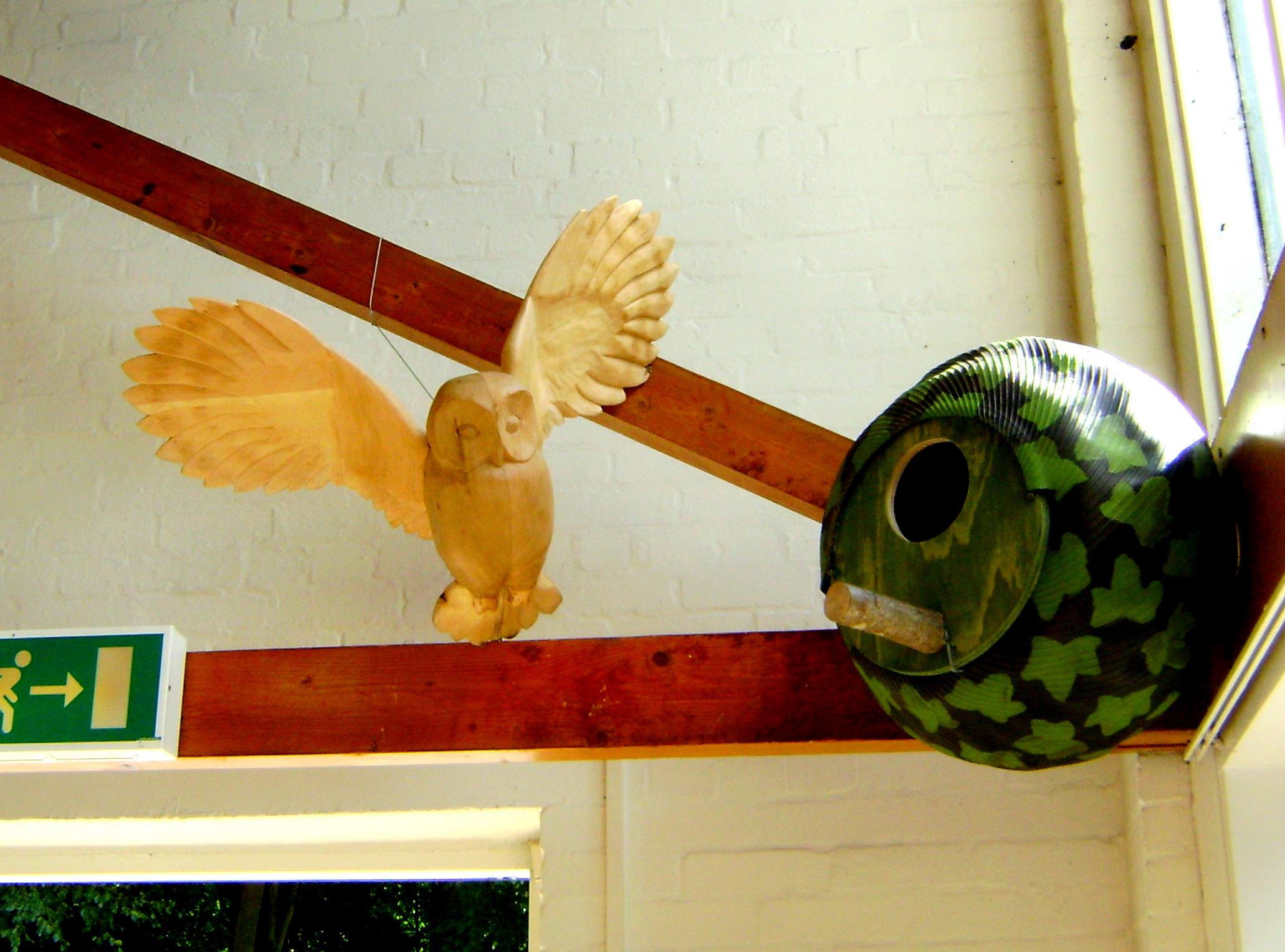 Oak and Lime owl