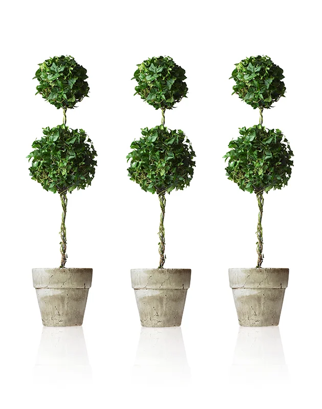 topiary_03.jpg