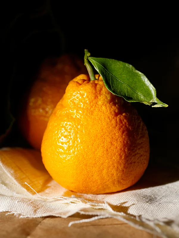 orange_final.jpg