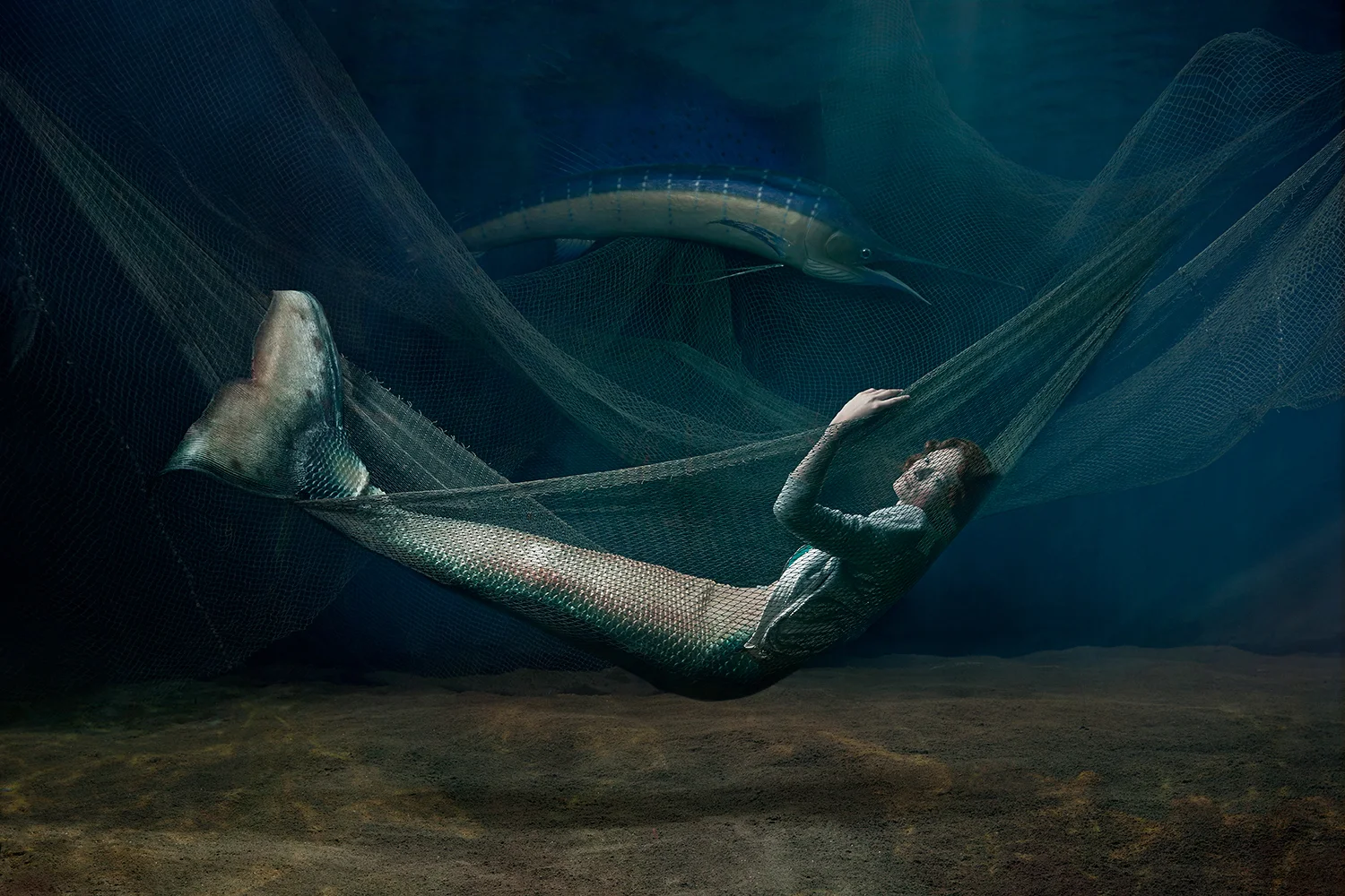 mermaid0108.jpg