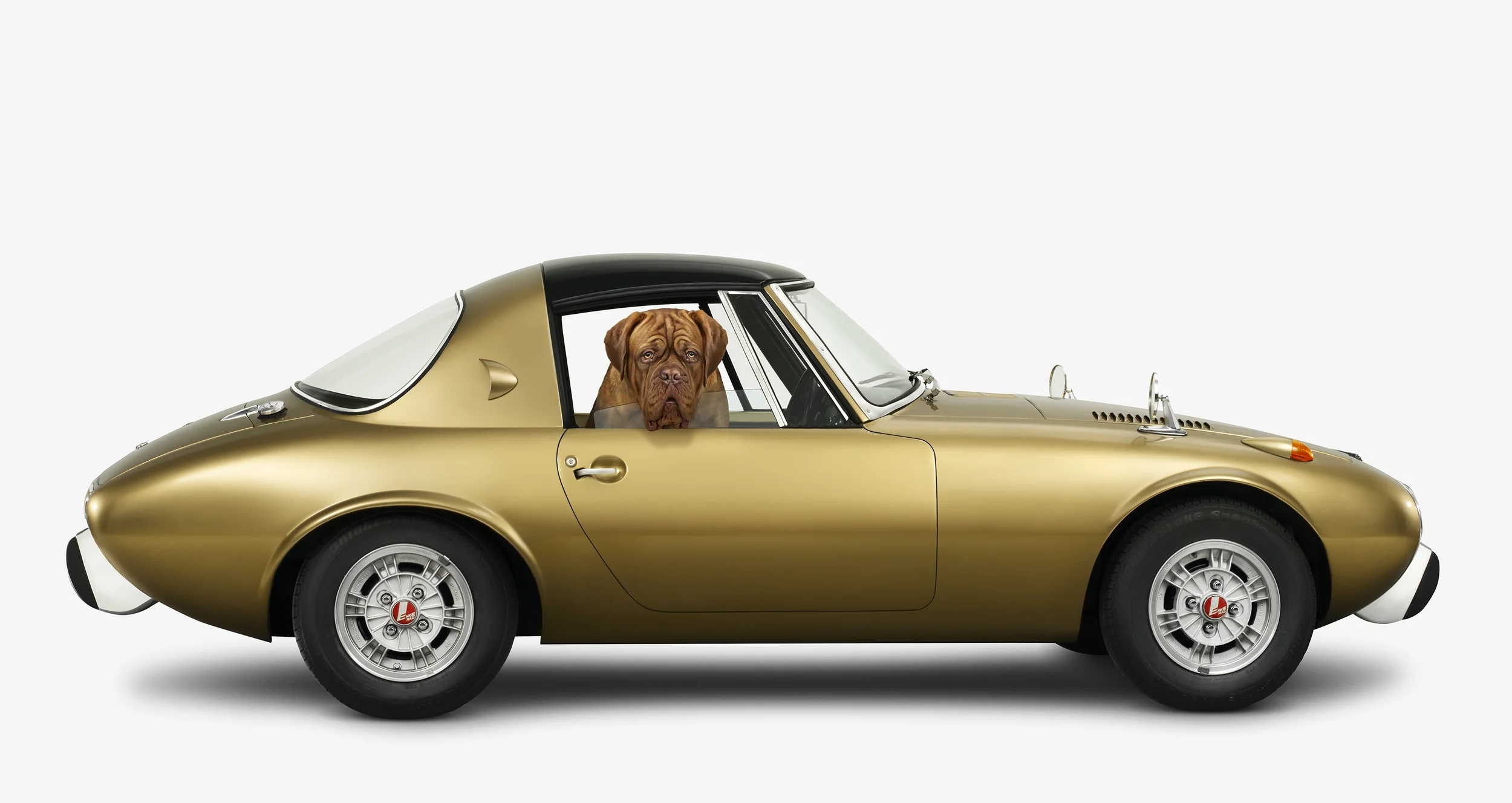 10J_Toyota800_DoguedeBordeaux_side.jpg