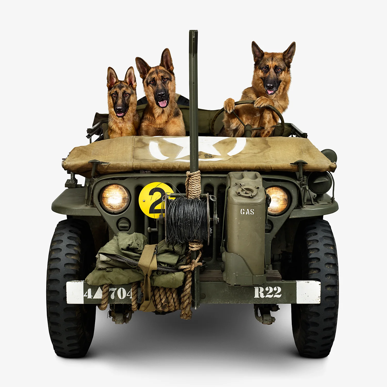 12x12JeepWilly_GermanShepherds_front.jpg