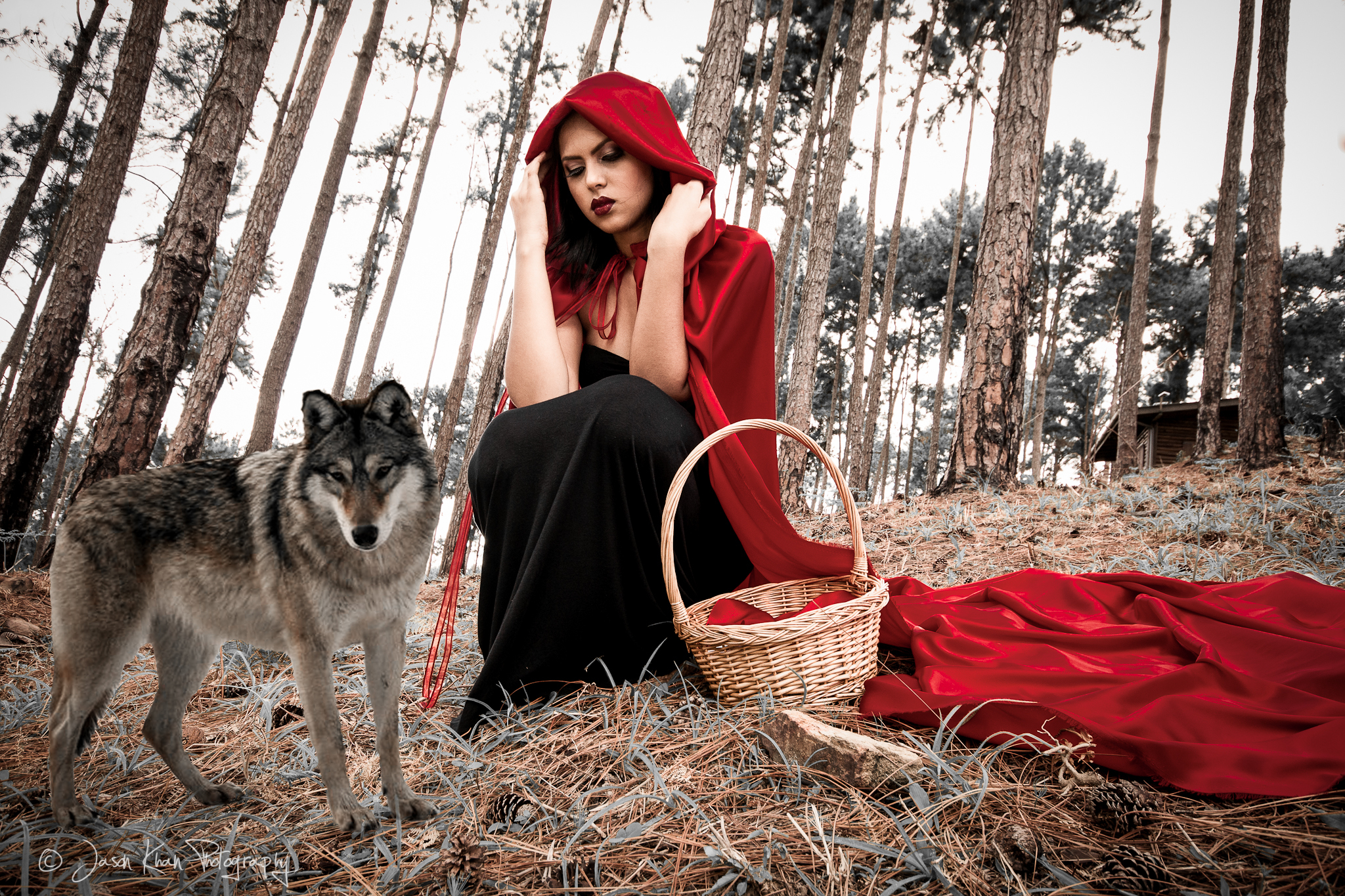 Kavita and The Wolf
