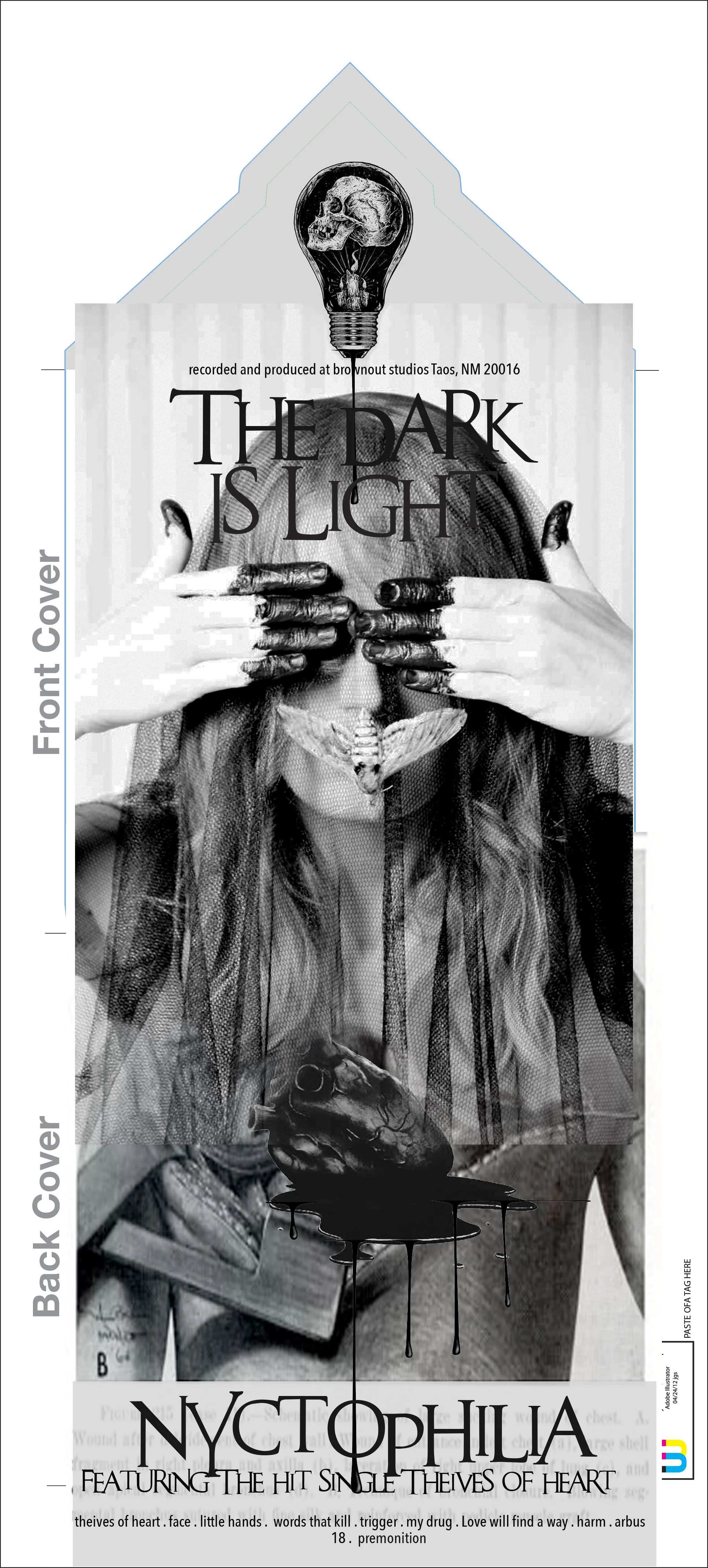 Taos Best Band The dark Is Light