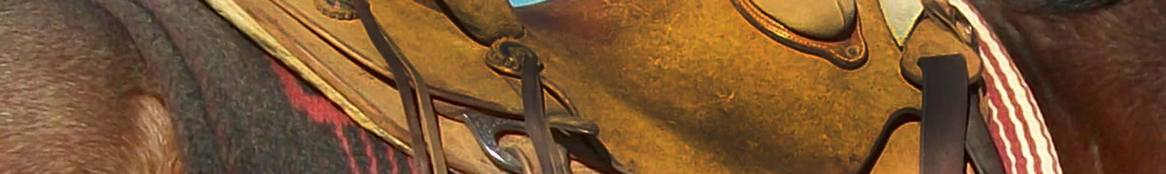 saddle2.jpg