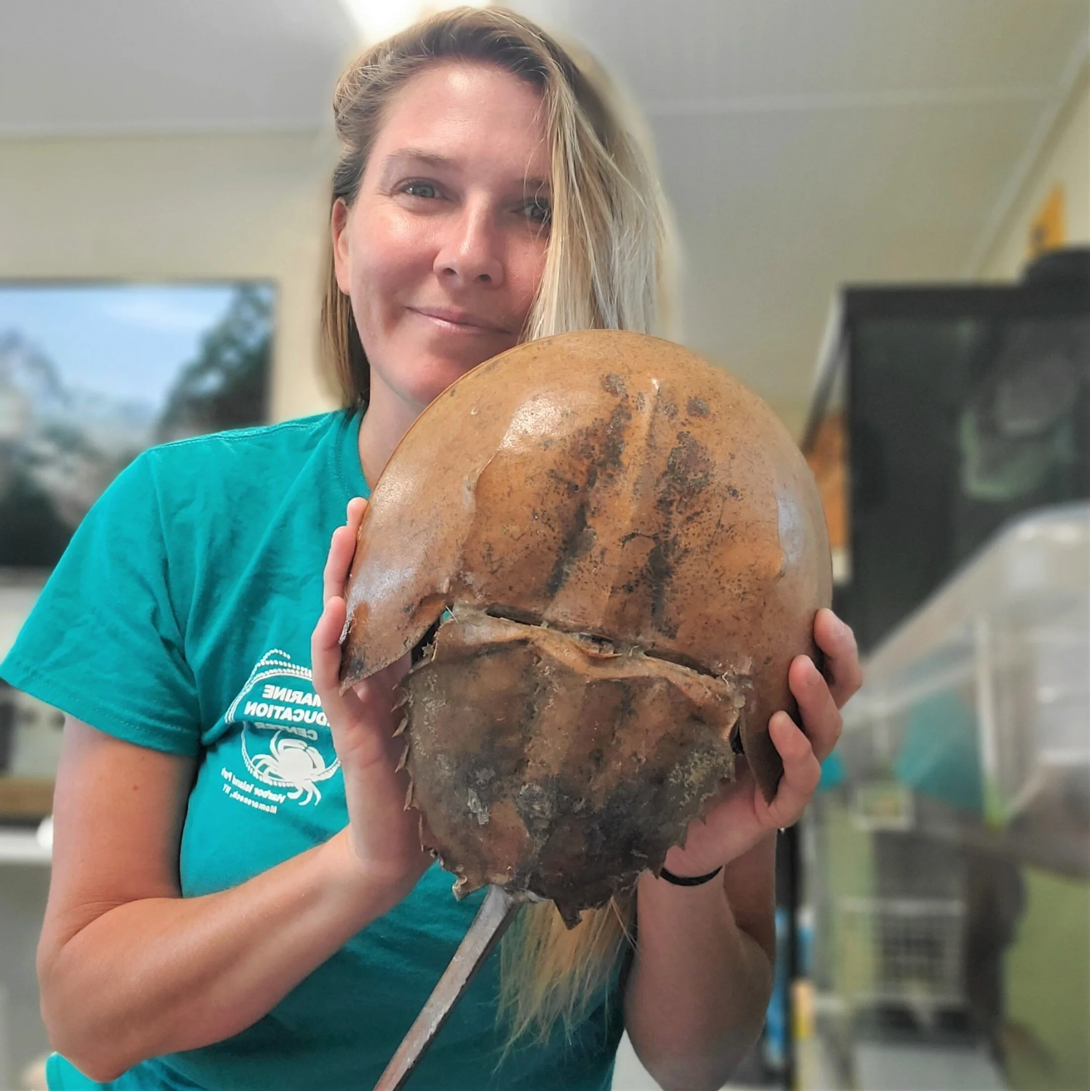 ONLINE: Marine Mondays - Winter Seals