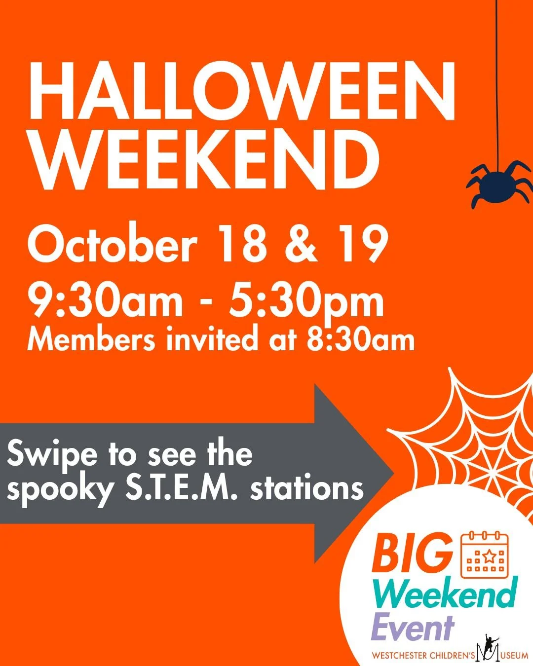 Come in costume for a not-so-scary Halloween STEAM event featuring:
Wax &amp; Watercolor Spider Webs with our guests from Children&rsquo;s Art Classes
-
Name the Bones - Examine skeletons of vertebrate animals, big and small. Animals come in all shap