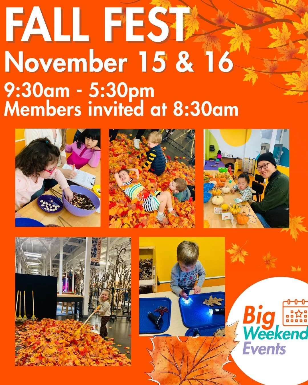 Join us Nov 15 &amp; 16 for STEAM activities that celebrate the changing seasons: 
Leaf Litter MicroBiomes 
Digital Jack &lsquo;O Lanterns 
DIY Corn Maze
Seed Sorting 
Leaf Raking 
AND special guests:
&bull; Children&rsquo;s Art Classes
&bull; Sew Fu