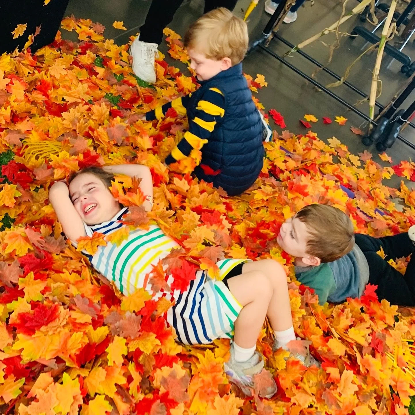 Fall Fest Big Weekend Event Nov 15 &amp; 16
Visit calendar Link in bio for details!
🍁🍂🪾
#fallfest #westchesterkids #westchesterfamily #ryemoms #larchmontmoms #newrochellemoms #chappaquamoms #portchester #greenwich_moms #soundshoremoms