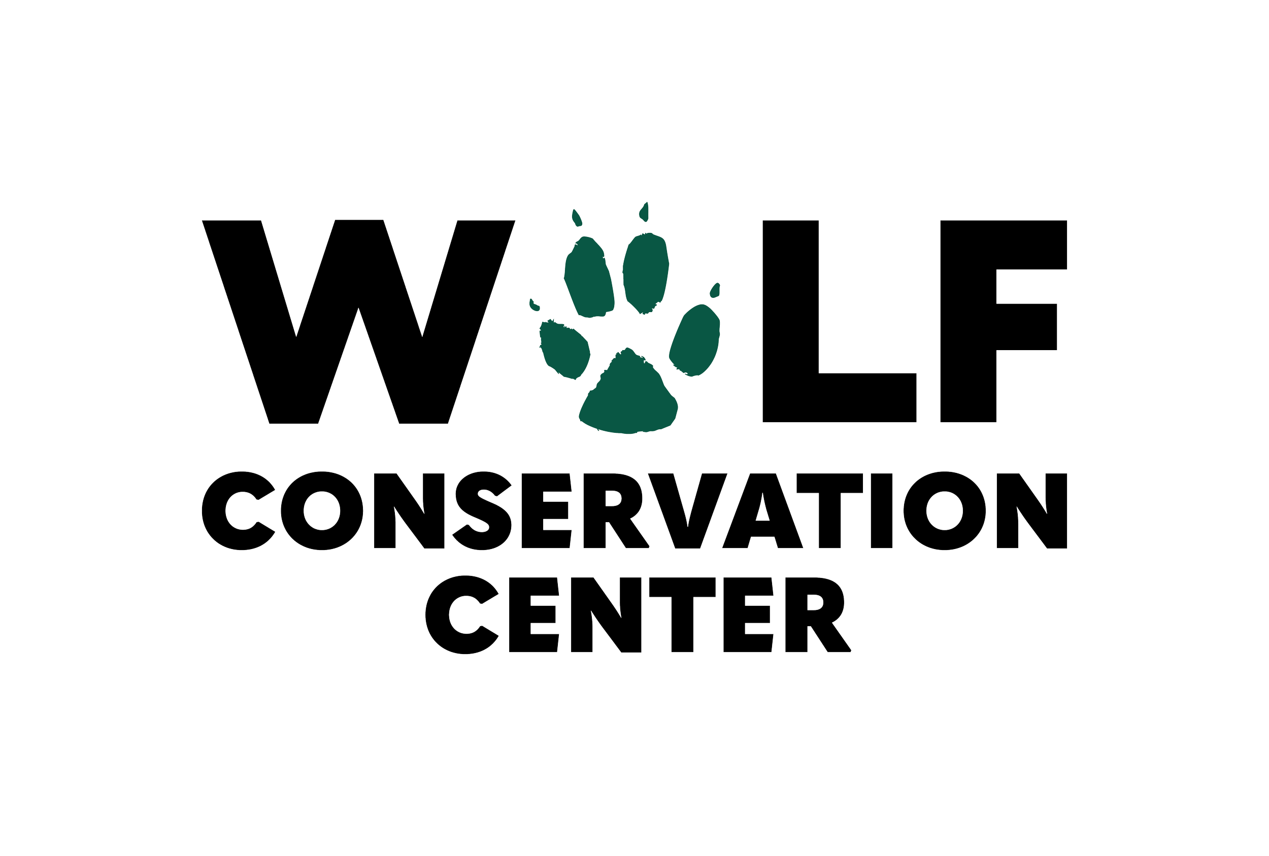 wcc_logo_white.png