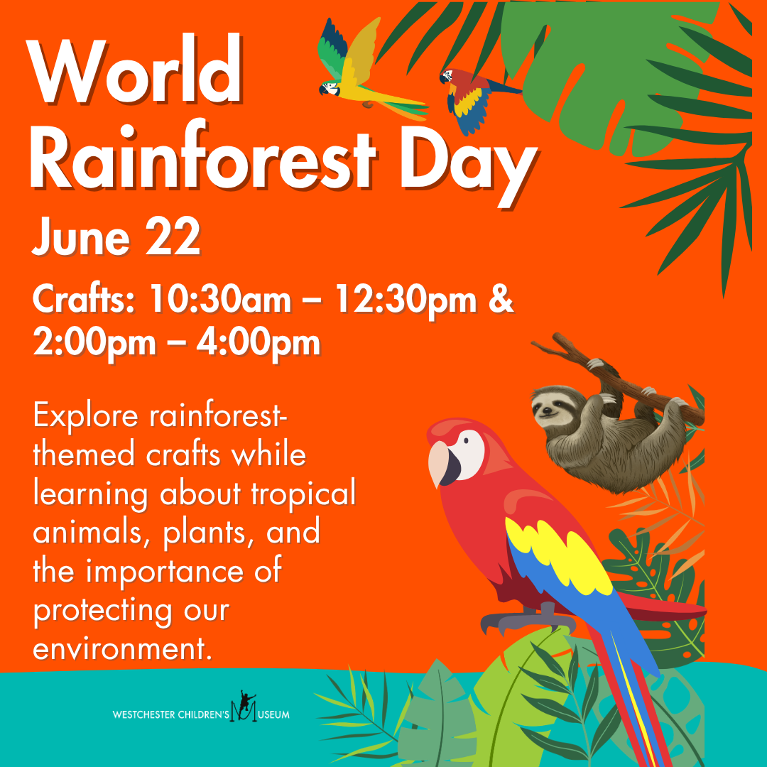 World Rainforest Day