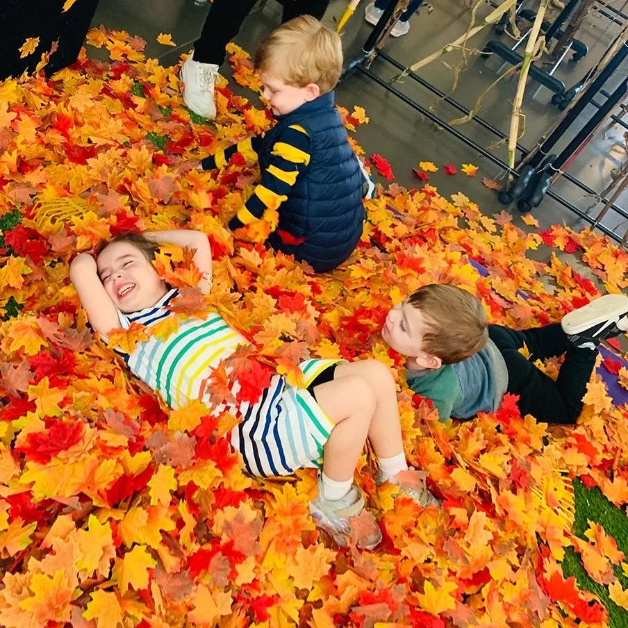 FALL DROP OFF CLASSES