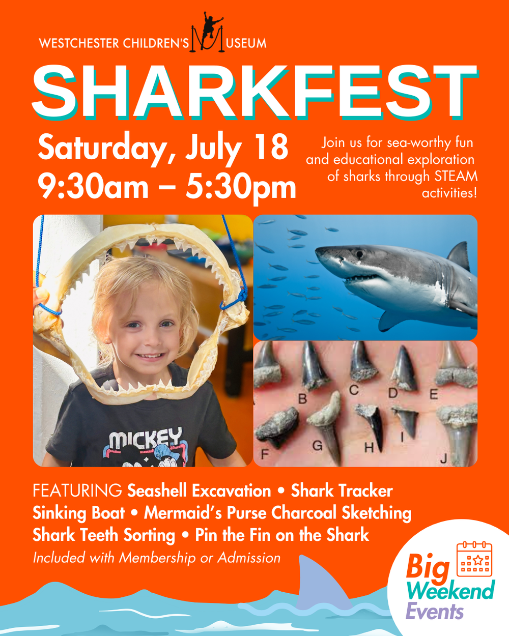 Annual SHARKFEST Celebration 🦈 — Westchester Children's Museum