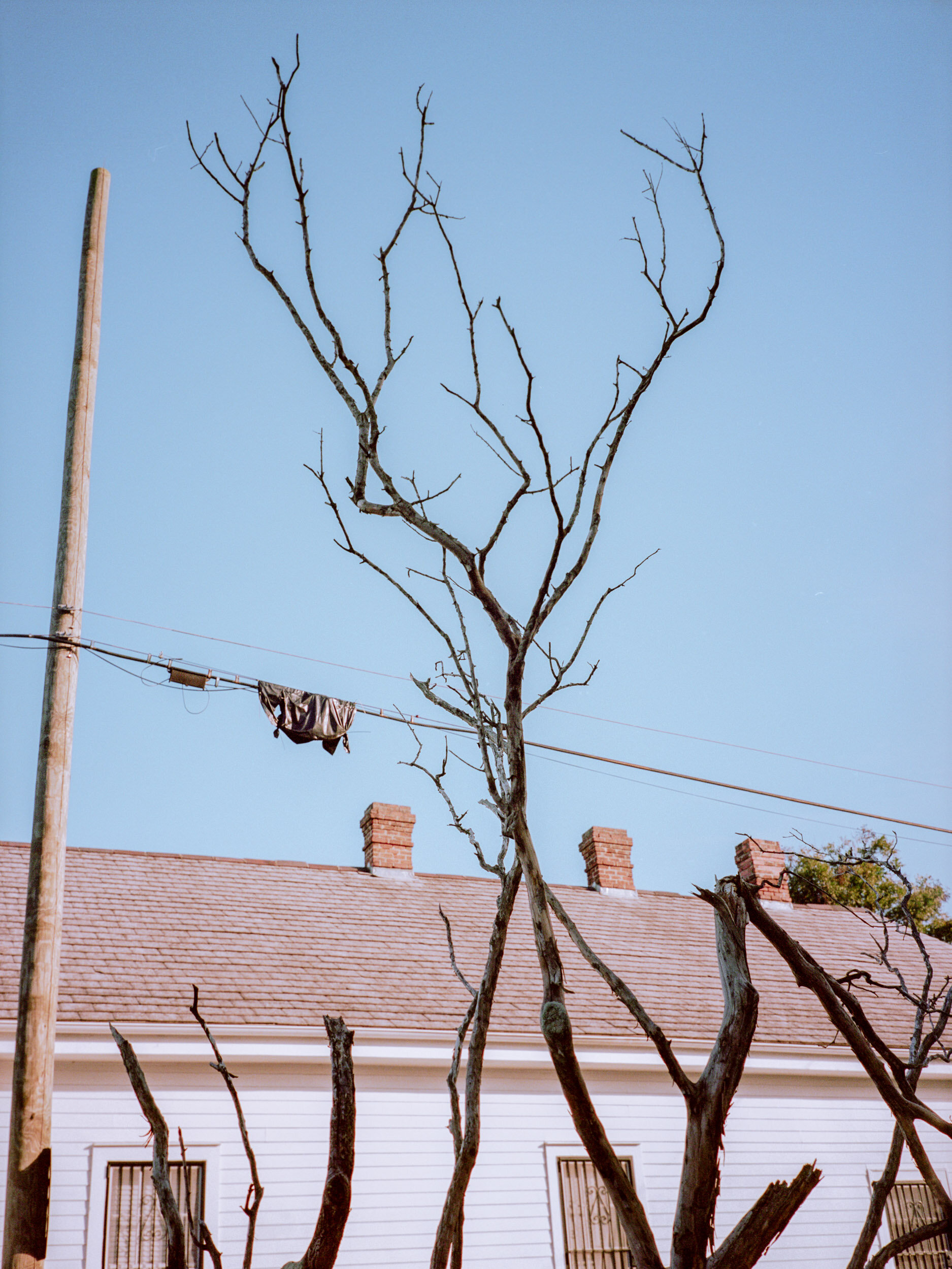  Louisiana, 2016 