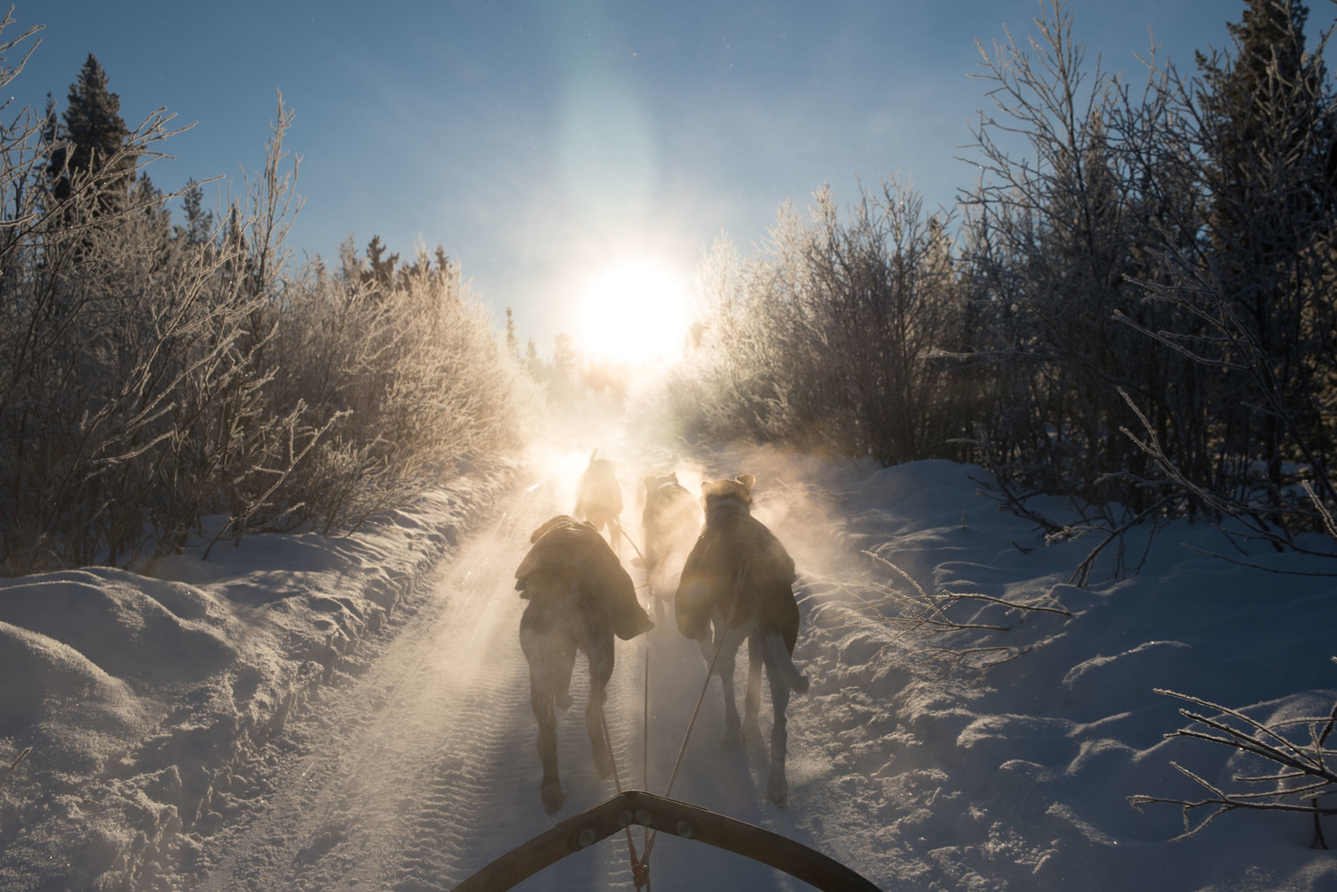 0-2017Feb11_Kiruna_471.jpg