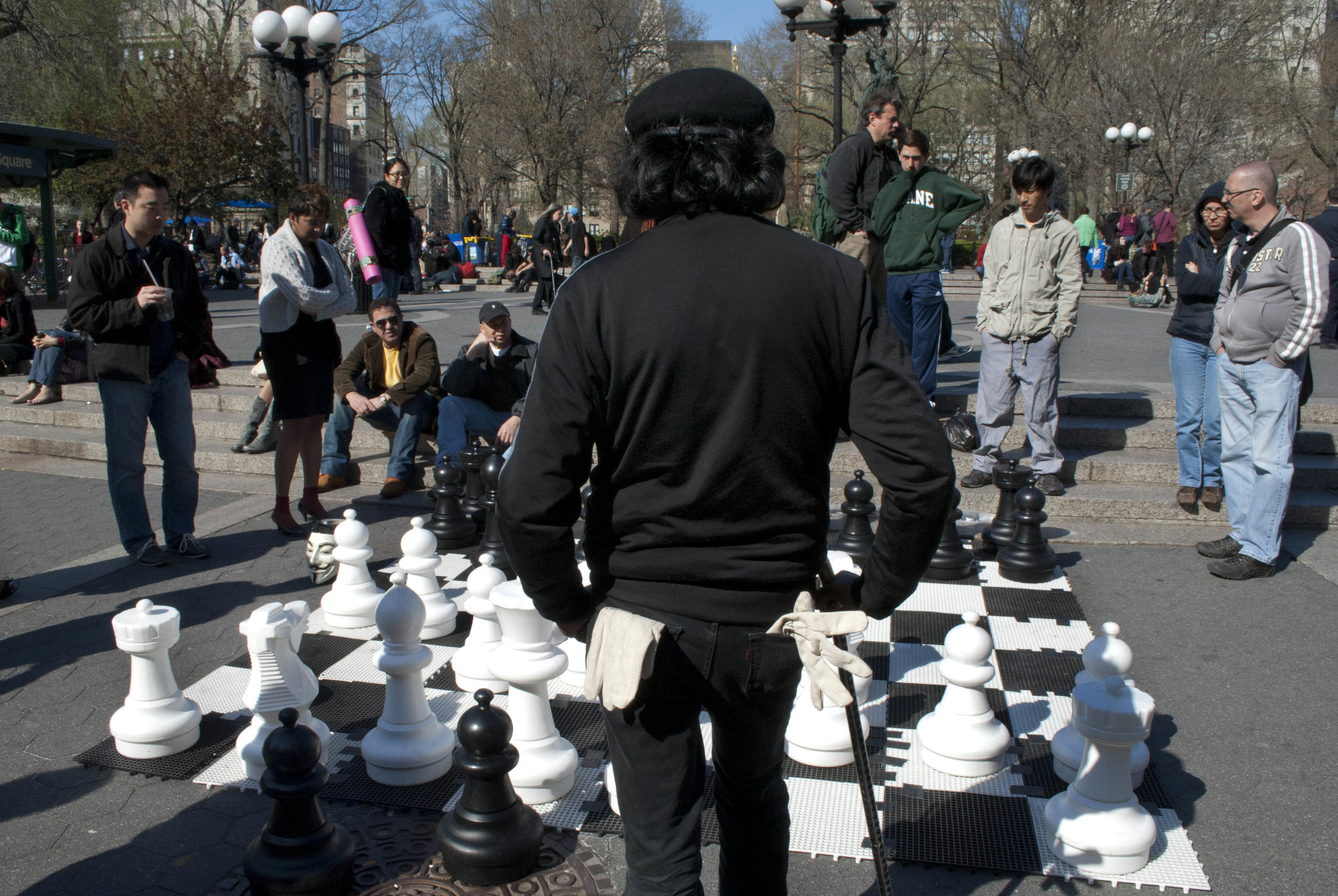 Chess web 1.jpg