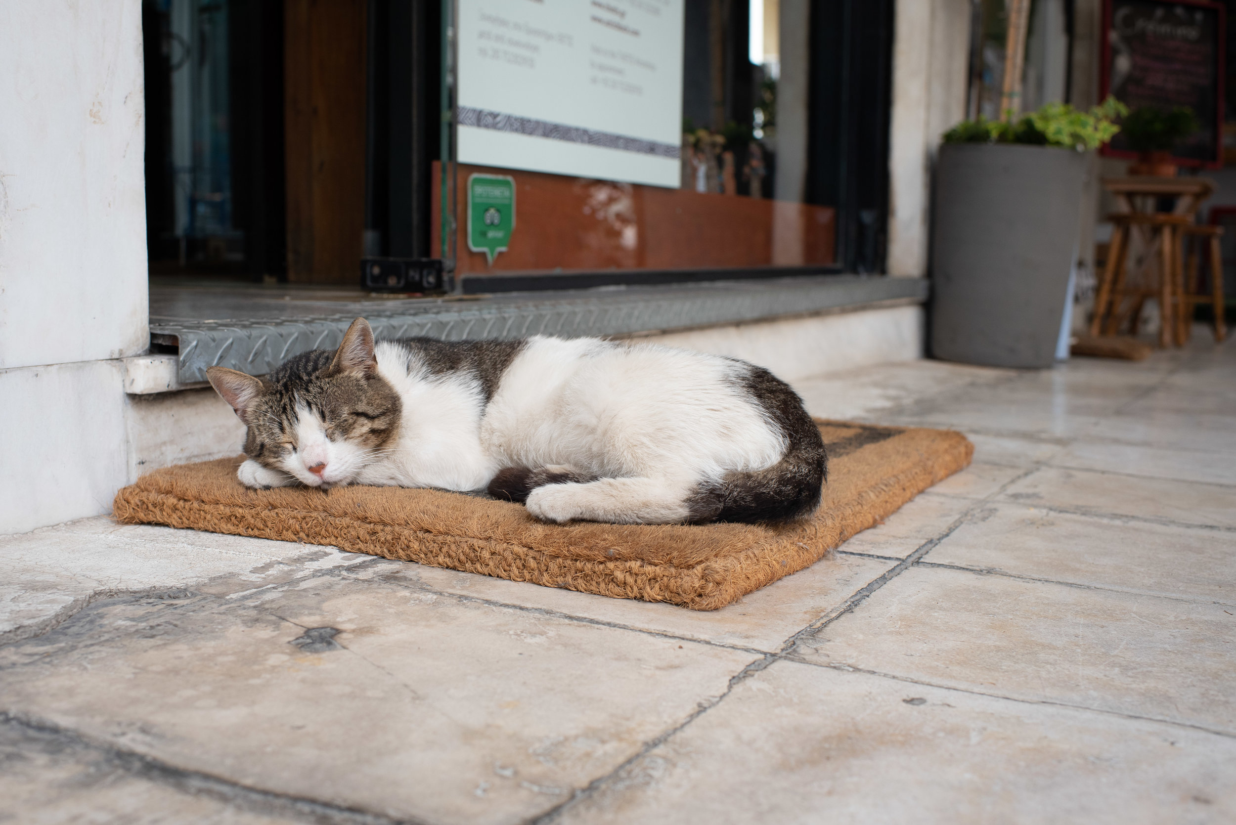 2019-May-14-Athens-Greece-052.jpg