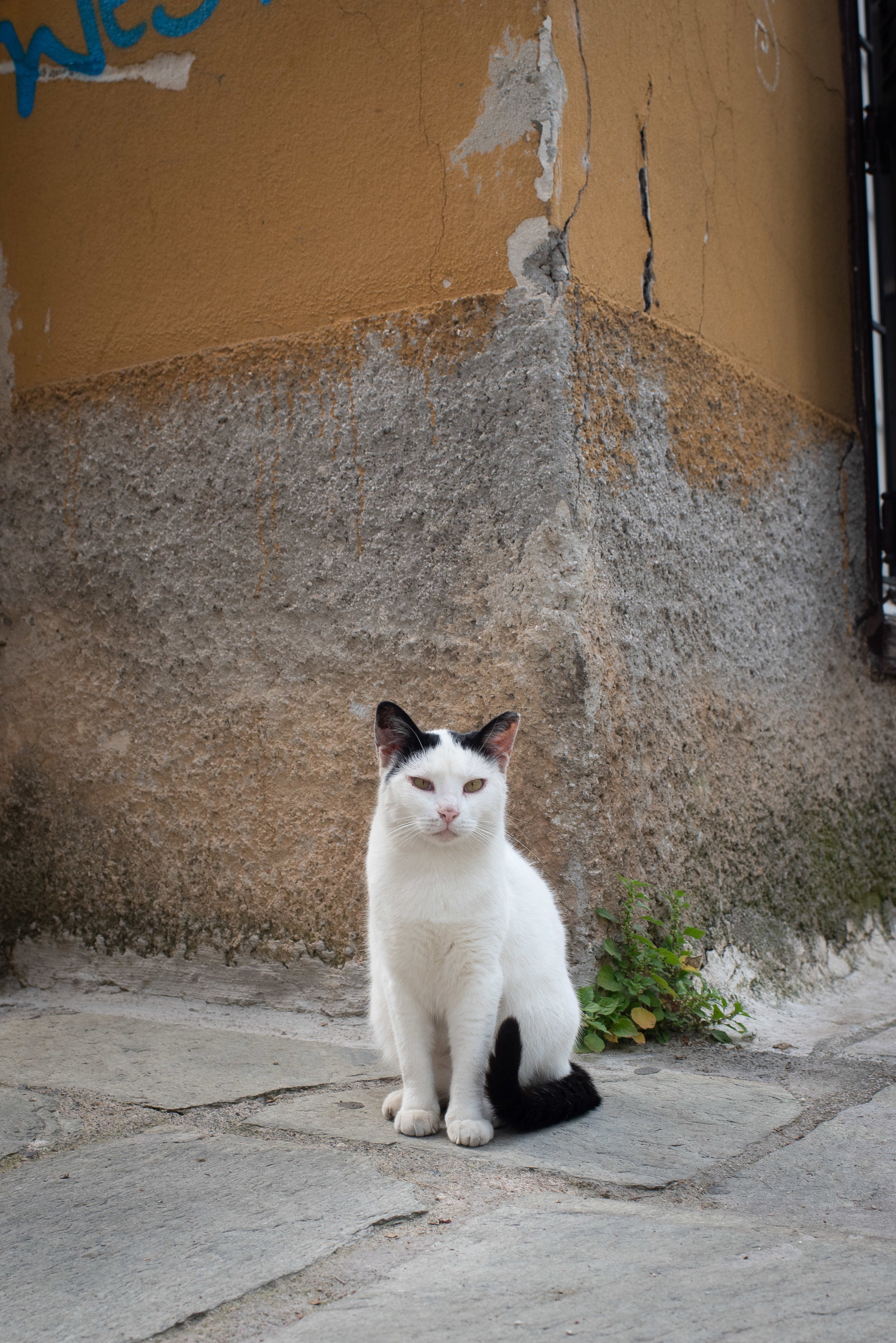 2019-May-14-Athens-Greece-106.jpg