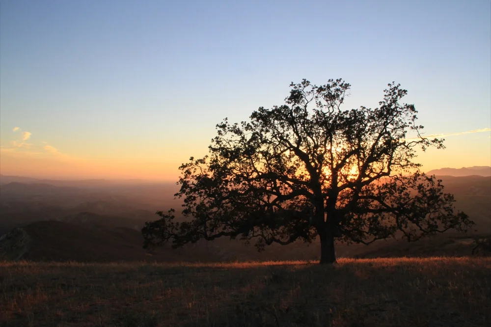 sunset whiteface 8.24.14.jpg