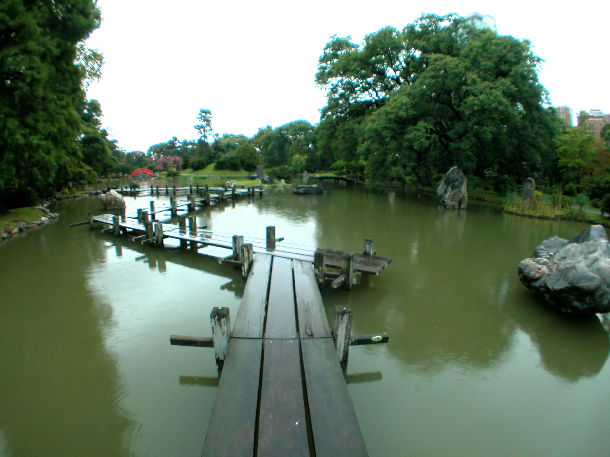DSCN9519.jpg