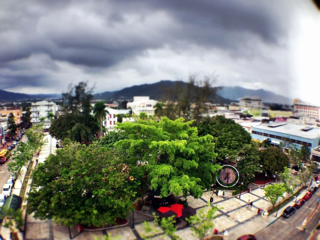eko_caguas1.jpg