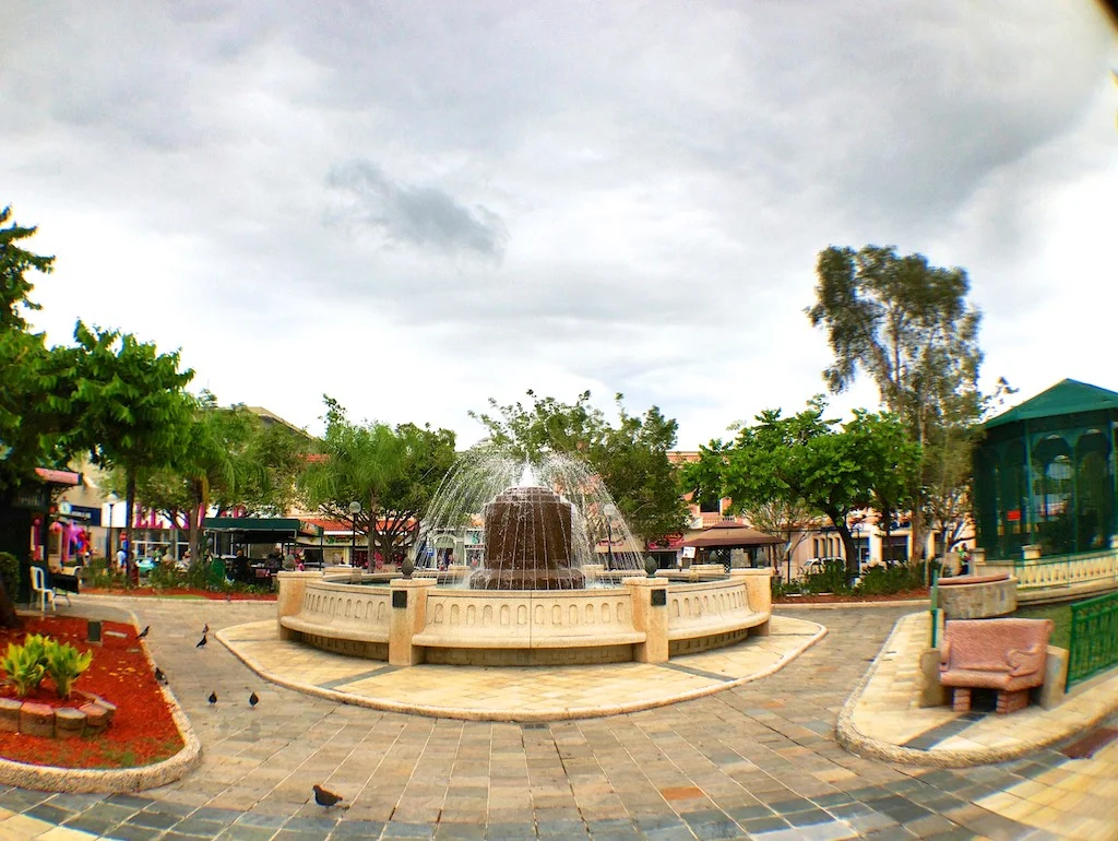 eko_caguas20.jpg