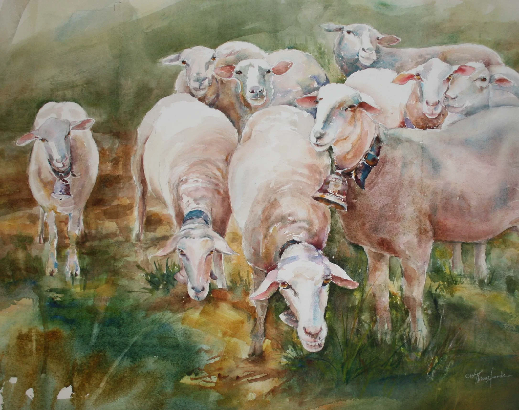 sheep.jpg