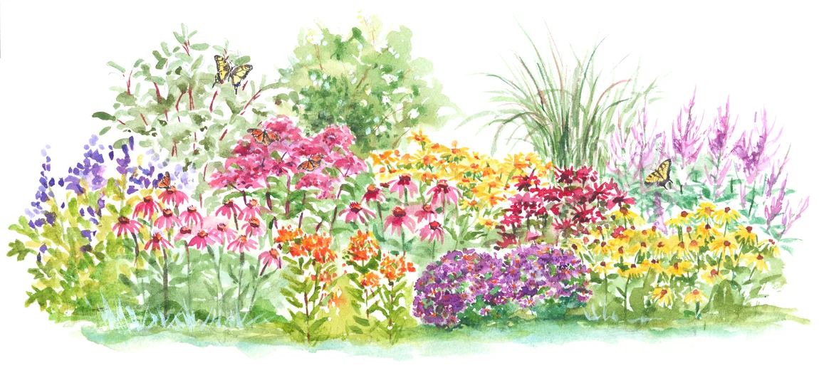 NativesGarden.jpg