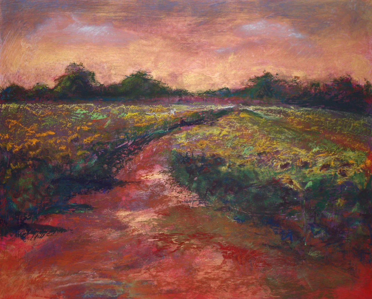 SunflowerField.jpg