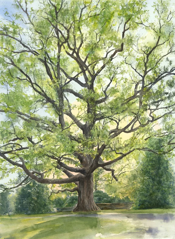 Spring Green