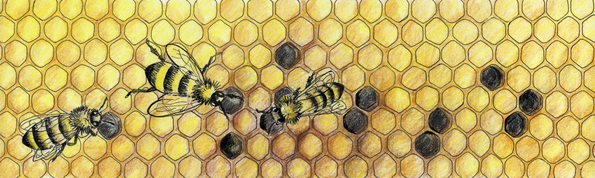 Bee hive 1.jpg