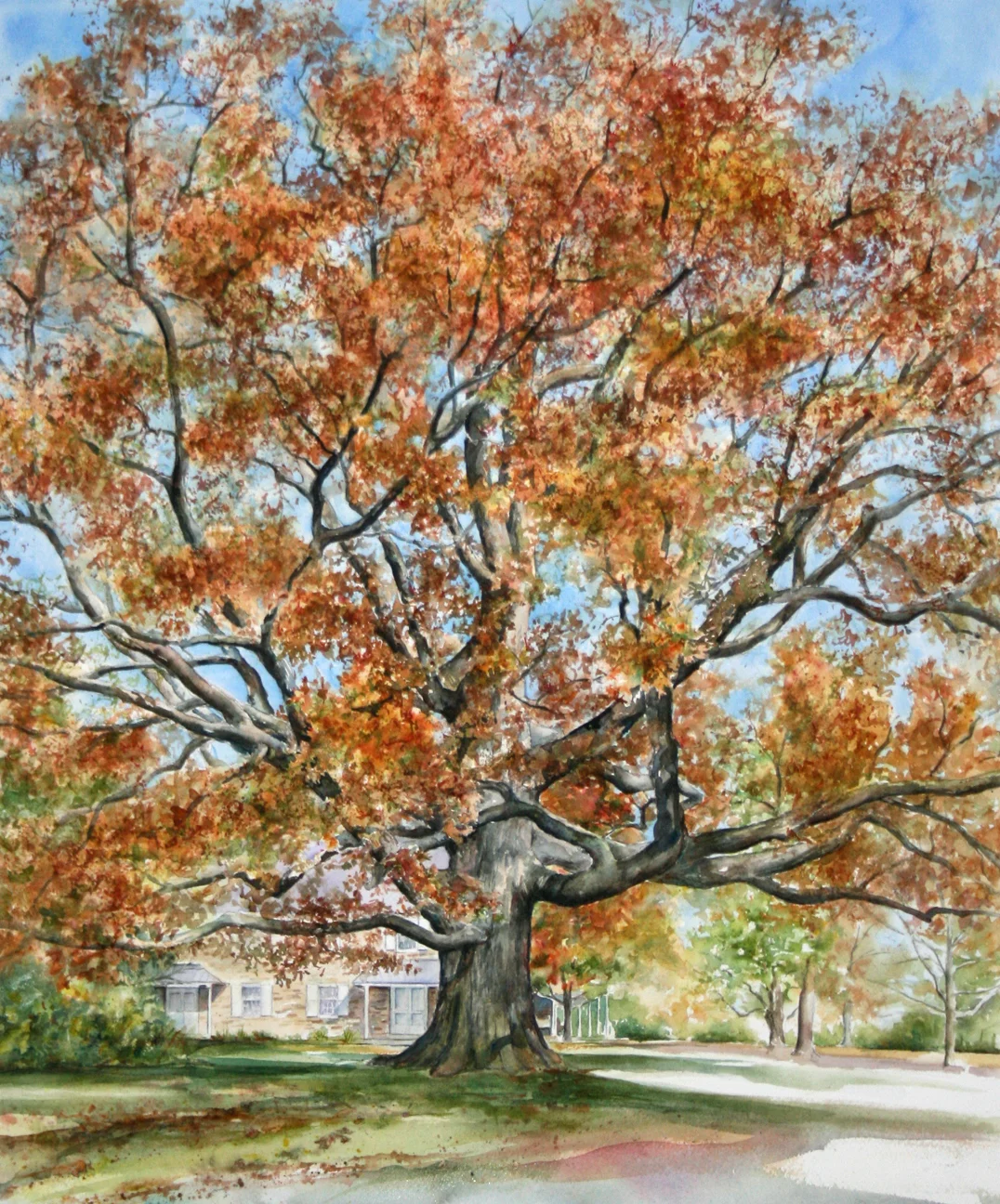 AutumnColor.jpg