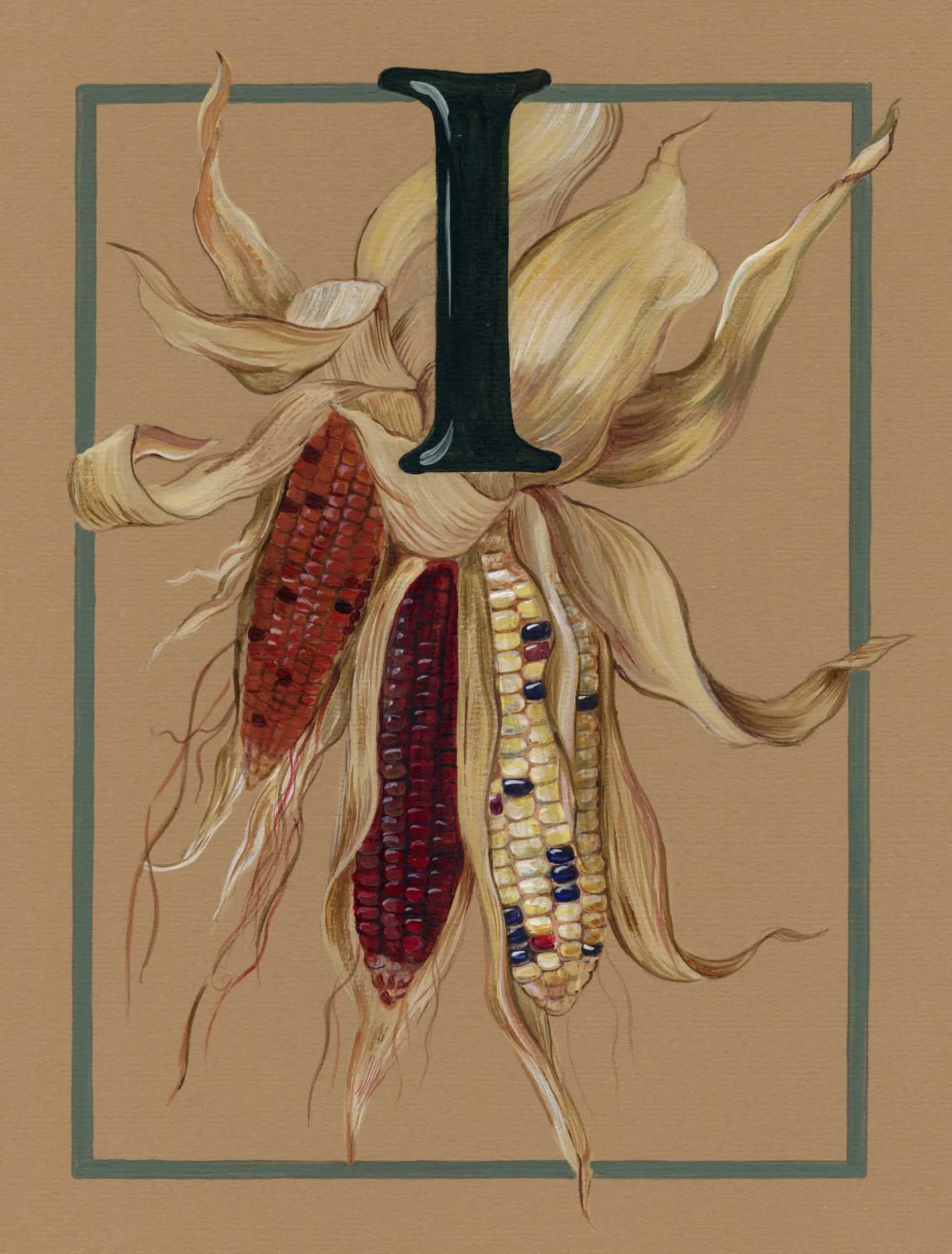 %22Indian Corn%22from alphabet series.jpg