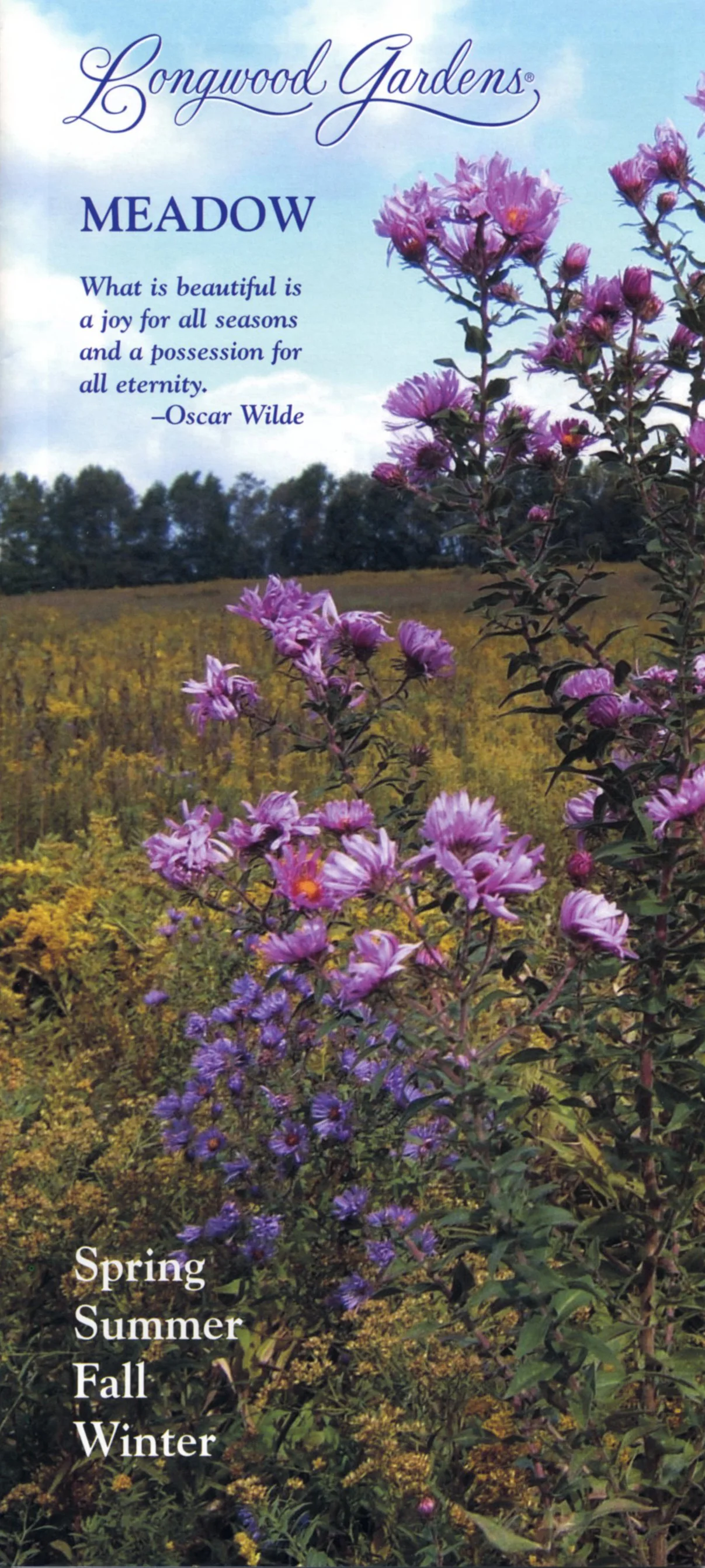 Meadow Brochure.jpg