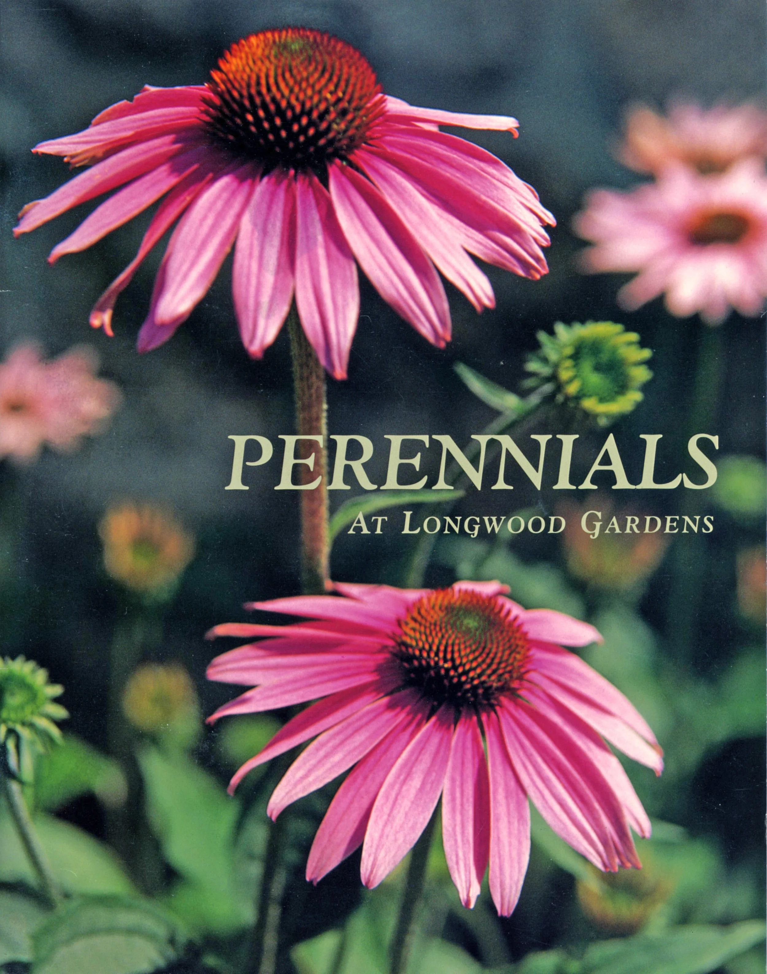 Perenials Book109.jpg