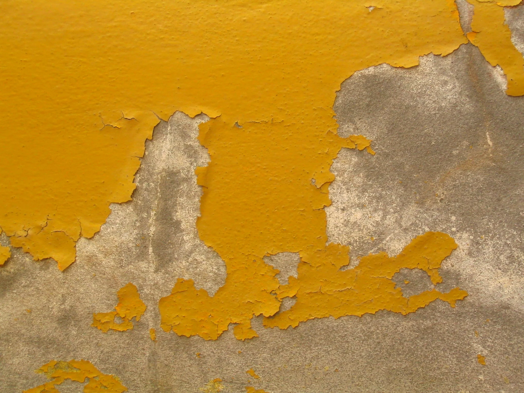 Image by Elsa Delaplace via FreeImages.com