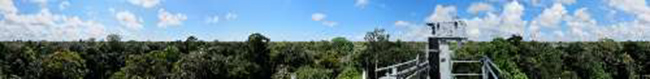 This is a panoramic view (360 degrees) from the top of a 148-foot observation tower at a study site in the Amazon forest near Santarém, Brazil. An instrument on the tower monitors atmospheric conditions and the solar radiation available for photosynthesis. Data are being used to help researchers better understand how photosynthesis in tropical forests responds to seasonal variations in climate. (Photo credit: Dennis Dye, courtesy U.S. Geological Survey, 2012)