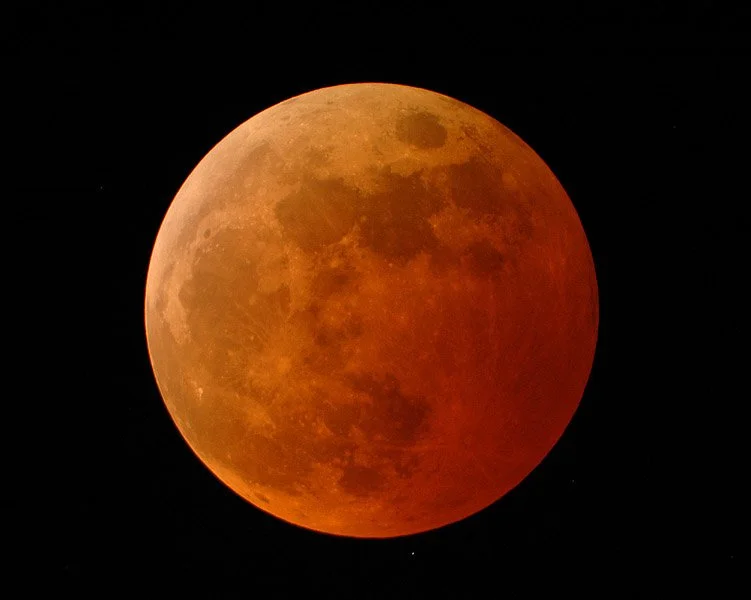Totally eclipsed moon (image by Doug Murray; courtesy Science@NASA and NASA's Goddard Space Flight Center)